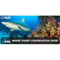Aware - Aware Shark Conservation
